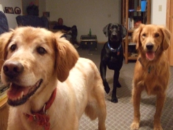 Fundraising Page Image