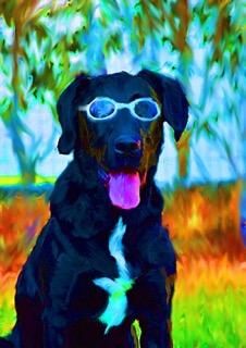 Fundraising Page Image