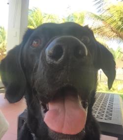 Fundraising Page Image