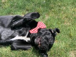 Fundraising Page Image