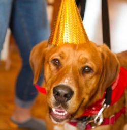 Fundraising Page Image