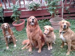 Fundraising Page Image