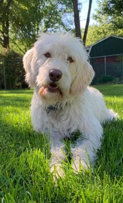 Fundraising Page Image