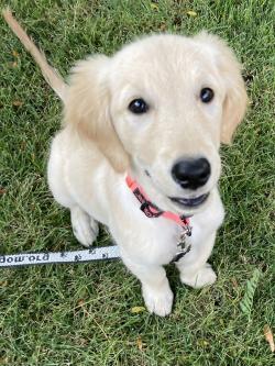 Fundraising Page Image