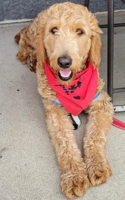 Fundraising Page Image