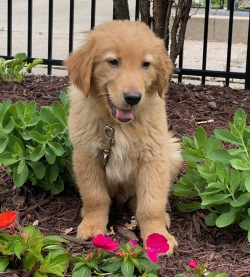 Fundraising Page Image