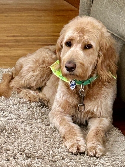 Fundraising Page Image