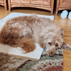 Fundraising Page Image