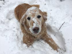 Fundraising Page Image