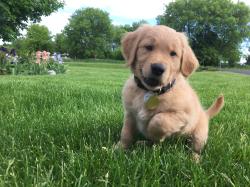 Fundraising Page Image