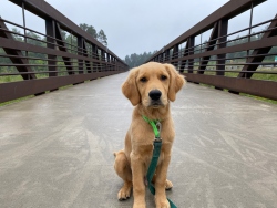 Fundraising Page Image