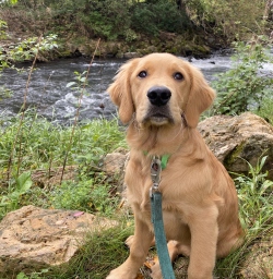 Fundraising Page Image