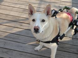 Fundraising Page Image