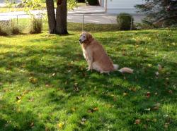 Fundraising Page Image