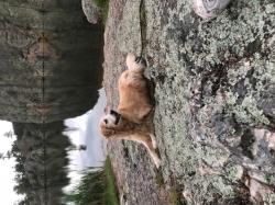 Fundraising Page Image