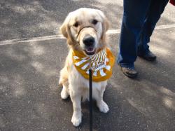 Fundraising Page Image