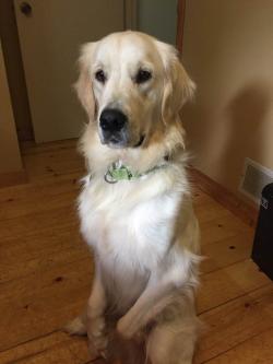 Fundraising Page Image