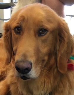 Fundraising Page Image