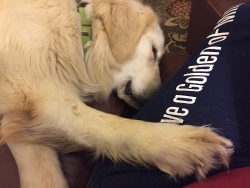 Fundraising Page Image