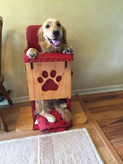 Fundraising Page Image