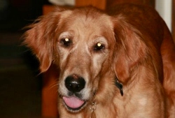 Fundraising Page Image