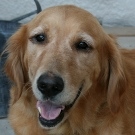 Fundraising Page Image