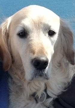 Fundraising Page Image