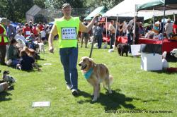 Fundraising Page Image