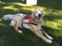 Fundraising Page Image