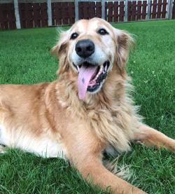 Fundraising Page Image