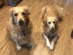 Fundraising Page Image