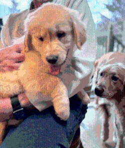 Fundraising Page Image