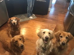 Fundraising Page Image