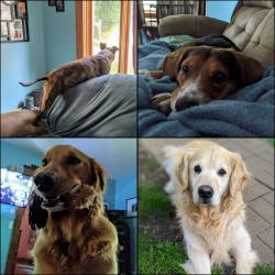 Fundraising Page Image