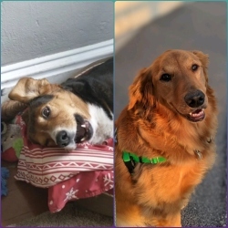 Fundraising Page Image