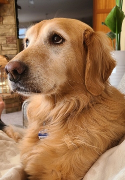 Fundraising Page Image