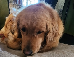 Fundraising Page Image