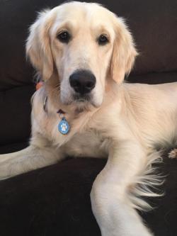 Fundraising Page Image