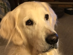 Fundraising Page Image