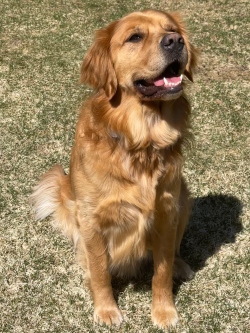 Fundraising Page Image