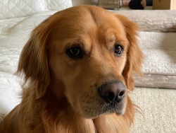 Fundraising Page Image