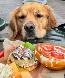 Fundraising Page Image