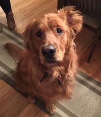 Fundraising Page Image