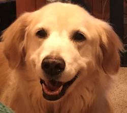 Fundraising Page Image