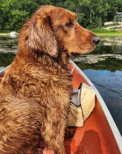 Fundraising Page Image