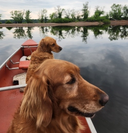 Fundraising Page Image