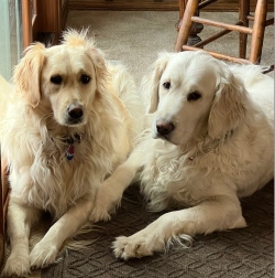 Fundraising Page Image