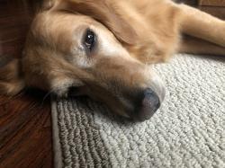 Fundraising Page Image