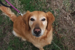 Fundraising Page Image