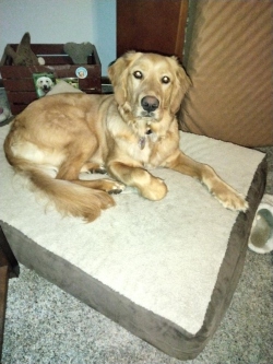 Fundraising Page Image